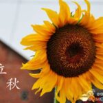 每日轻松一刻 人大PK武大女神摄影师是人生赢家