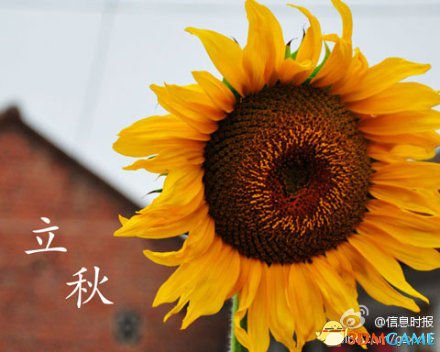 每日轻松一刻 人大PK武大女神摄影师是人生赢家