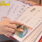 韩国博主在日本遇阴阳菜单 日网友嘲讽：嫌贵就别来