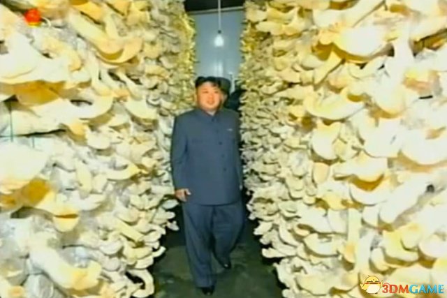 蘑菇王国现身朝鲜 白衣女工人哄抢金三胖蘑菇