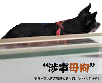 公狗夺走百万母狗处子身 母狗主人要求赔偿十万