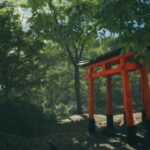 《模拟美景摄影》上架Steam 虚幻5引擎加持