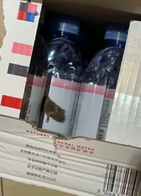 女子网购矿泉水出现2只活老鼠：客服称补偿20元