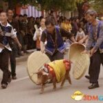 《最炫民族风》赶野猪效果好 全球神曲听过几首