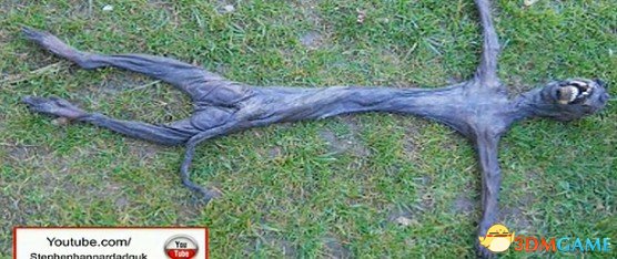 紧急呼叫BSAA！非洲发现疑似水蛭丧尸的生物尸体